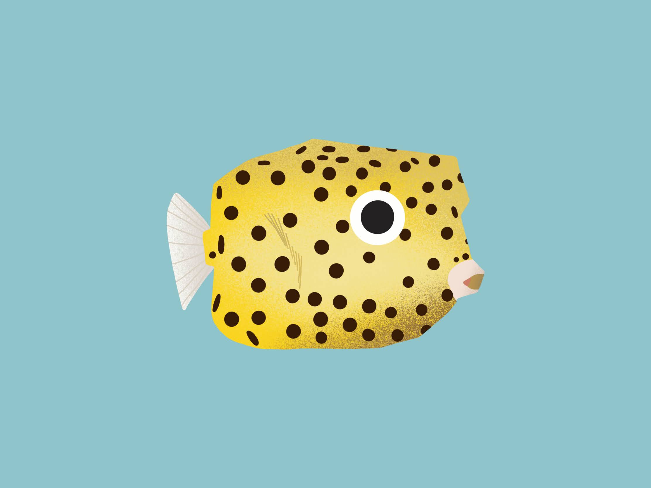 Design work 32