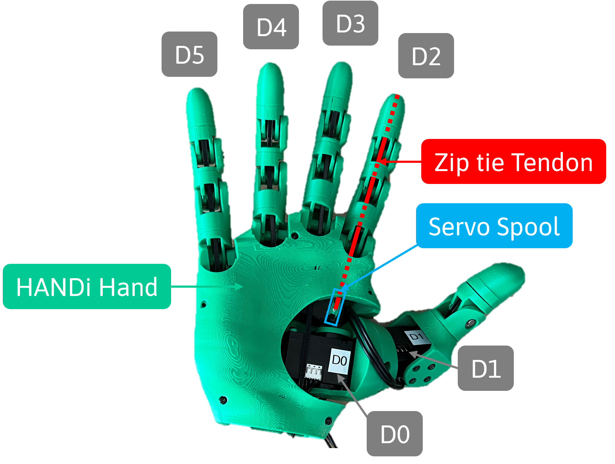 HANDi Hand